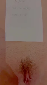 自动审核