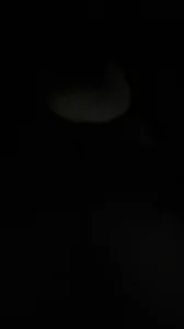 交换视频