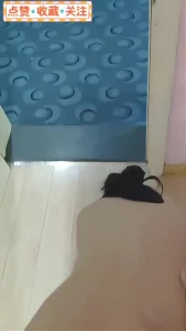 酒店开门直接趴门口操对面人还在屋里聊天