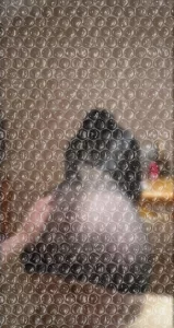 巨臀马桶性瘾大
