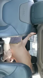 偷情车震巨乳淫语