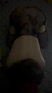 老婆穿情趣内衣撅屁股口交