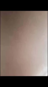重庆精品家里草2