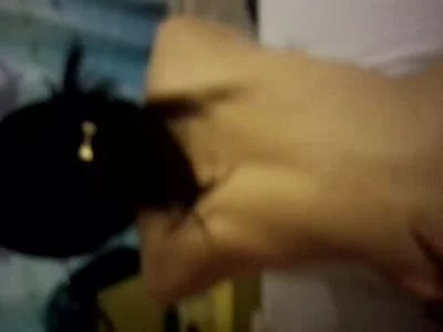 最后验证
